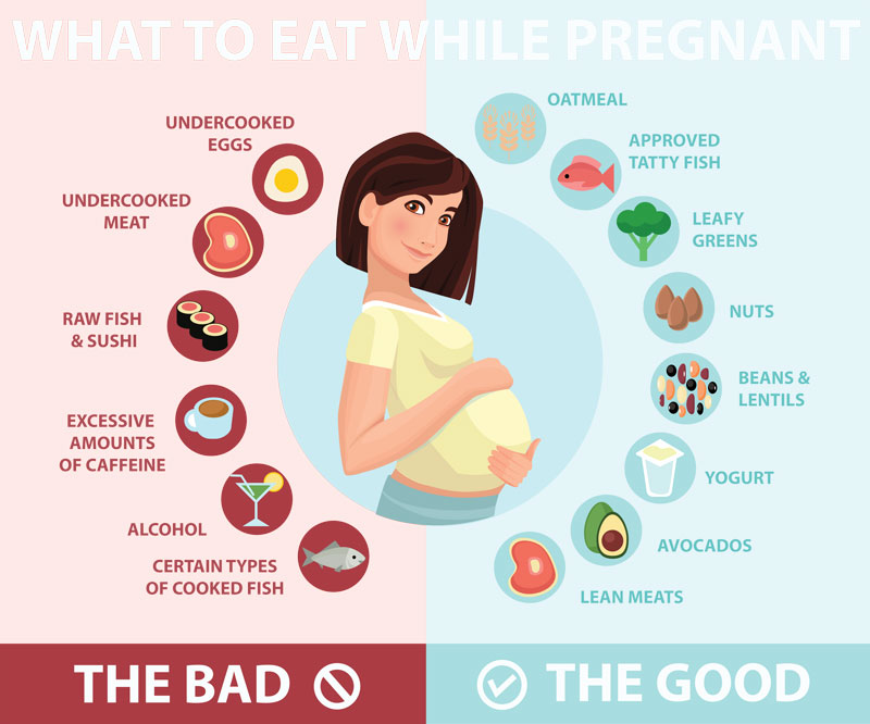 Как правильно питаться при беременности: мифы и стереотипы
